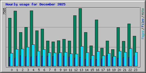 Hourly usage for December 2025
