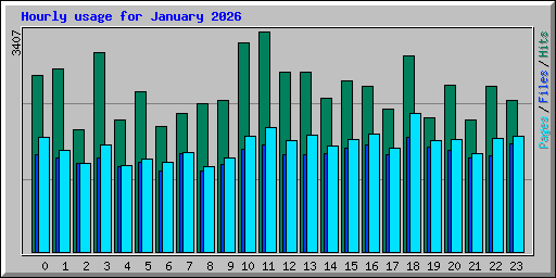 Hourly usage for January 2026